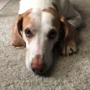 Meet your Posher, Kat